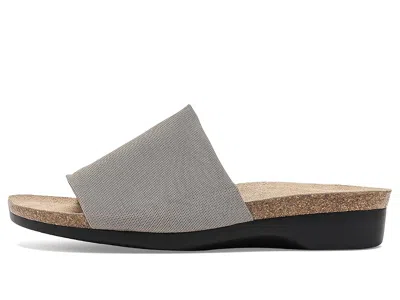 Munro Casita In Multi