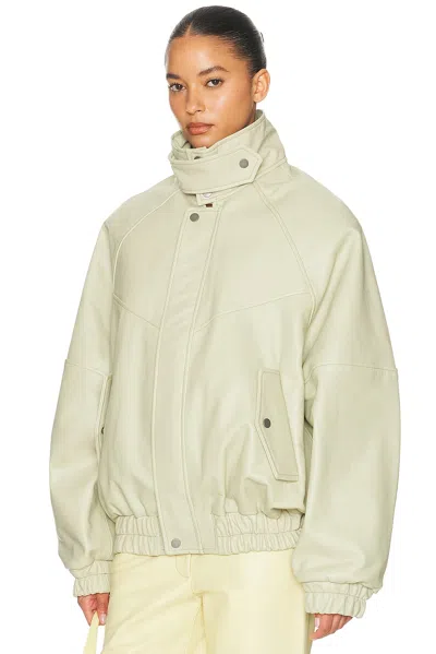 Helsa The Oversized Leather Bomber In Multi