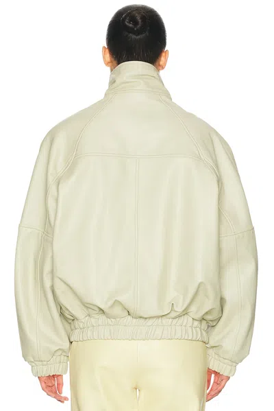 Helsa The Oversized Leather Bomber In Multi