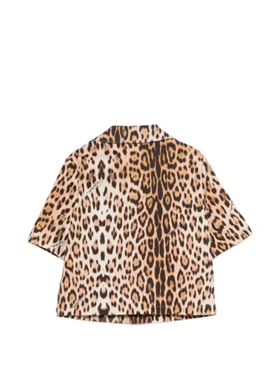 Roberto Cavalli Leopard-pattern Logo-patch Jacket In Neutral