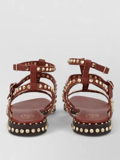 Ash Gladiator Sandal Open Toe Ankle Strap In Brown