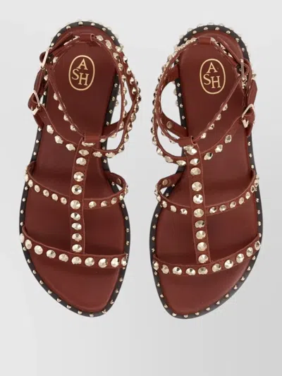 Ash Gladiator Sandal Open Toe Ankle Strap In Brown