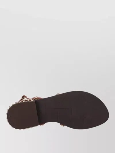 Ash Gladiator Sandal Open Toe Ankle Strap In Brown