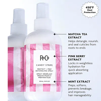 R + Co Candy Stripe Protect And Prep Detangling Spray 251ml In Transparent