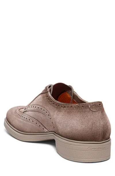 Santoni Easy Wingtip Brogue Derby In Brown