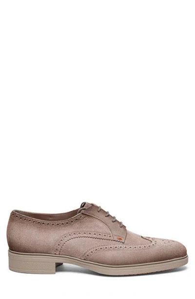 Santoni Easy Wingtip Brogue Derby In Brown