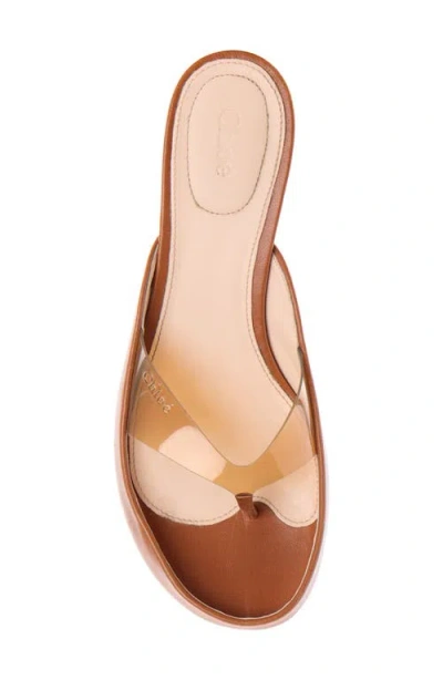 Chloé Elegant Heeled Shoes For Women In Multi
