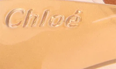 Chloé Elegant Heeled Shoes For Women In Multi