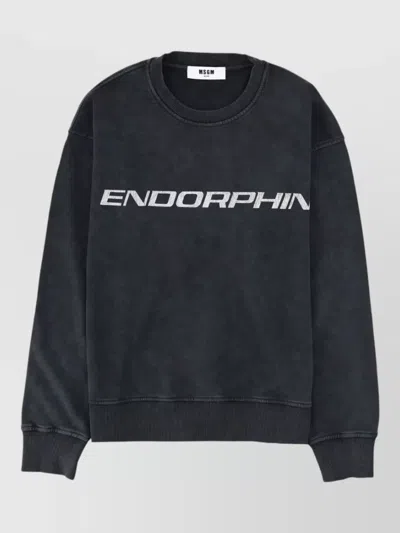 Msgm Crew Neck Long Sleeve Printed Sweatshirt In Blue