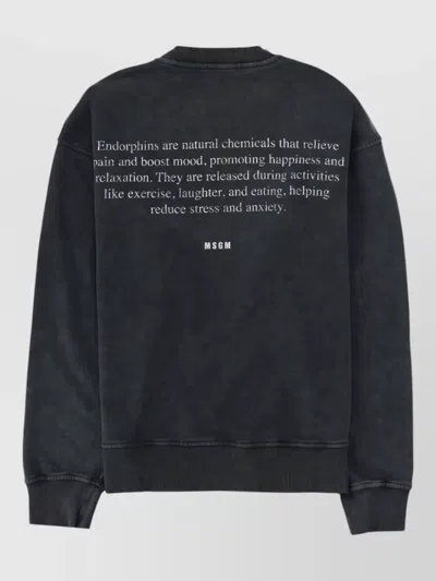Msgm Crew Neck Long Sleeve Printed Sweatshirt In Blue