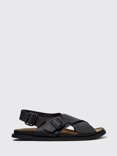 Camper Lluc Buckle-strap Sandals In Black