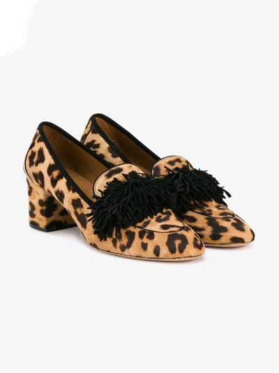 Shop Aquazzura Leopard Wild Heeled Loafers In Brown