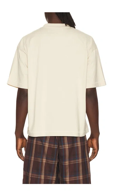 Jungles Already In White