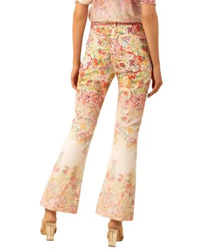 Hale Bob Bellamy Pant In Pink