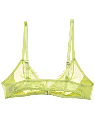 Mucci Amara Bralette In Green