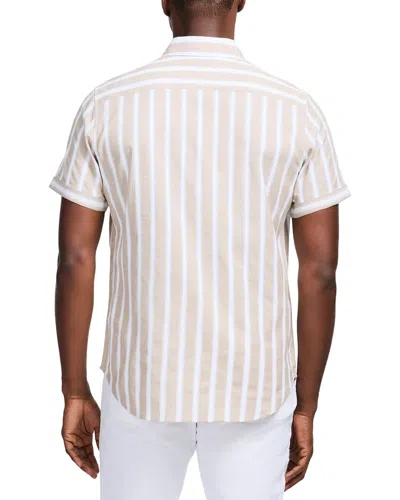 Robert Graham Preston Stripe Short Sleeve Cotton Blend Button-up Shirt In White