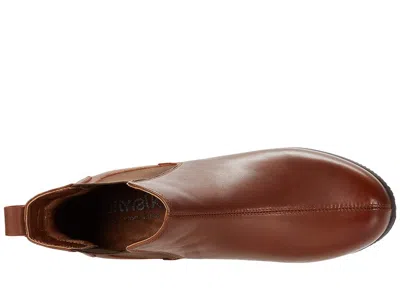 Softwalk Highland In Brown