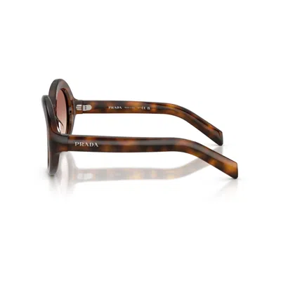 Prada Eyewear Oversized Round Frame Sunglasses In Brown