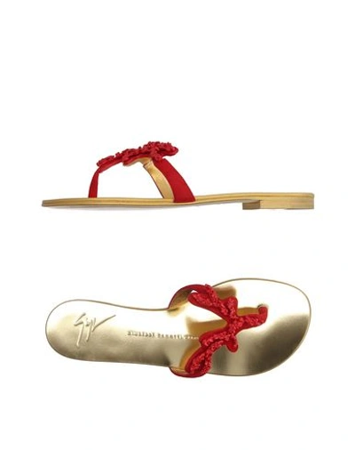 Shop Giuseppe Zanotti Flip Flops In Red