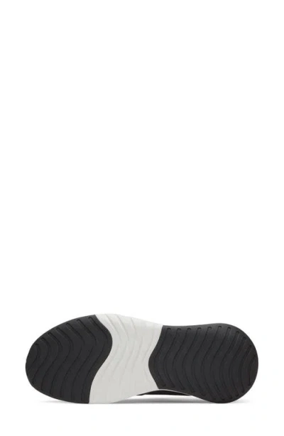 Allbirds Courier Sneaker In Multi