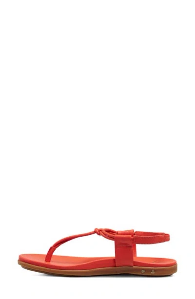 Beek Mango Ankle Strap Sandal In Red
