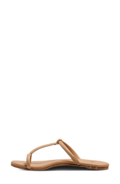 Beek Teebird Slide Sandal In Brown