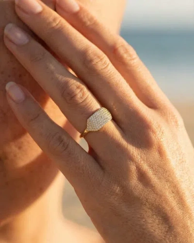 Native Gem Id Ring In Gold