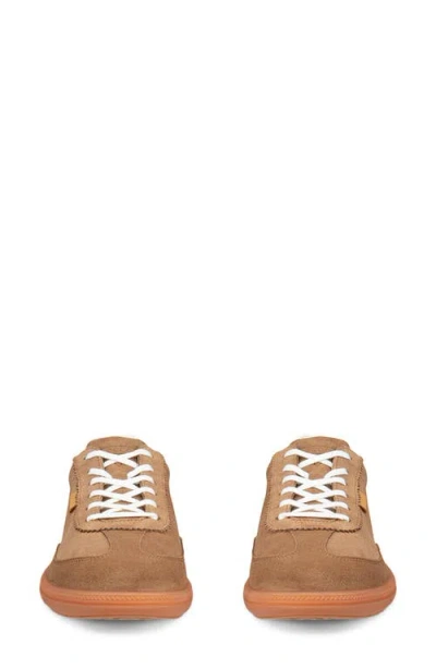 Ecco Soft 11 Sneaker In Brown