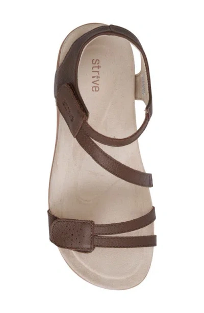 Strive Nice Sandal In Brown