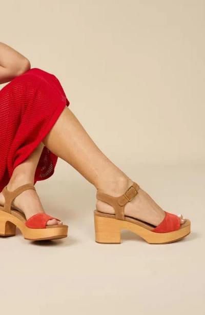 Charlotte Stone Mona Clog Sandal In Multi