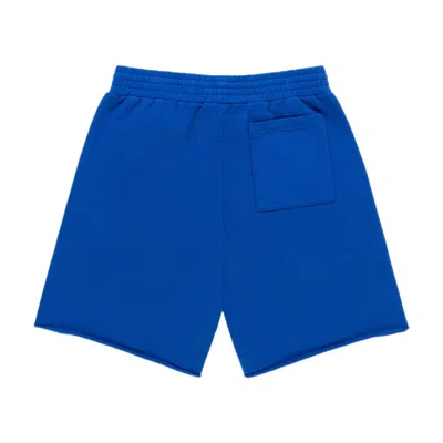 Sp5der Varsity Web Sweatshort 'blue'