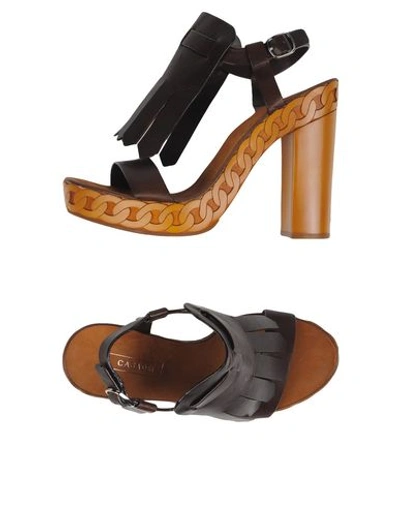 Casadei Sandals In Dark Brown