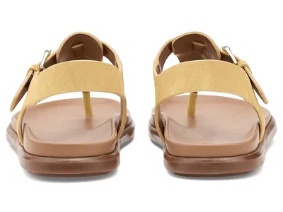 Naturalizer Fab Flat Sandal In Brown