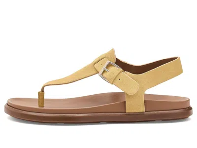 Naturalizer Fab Flat Sandal In Brown