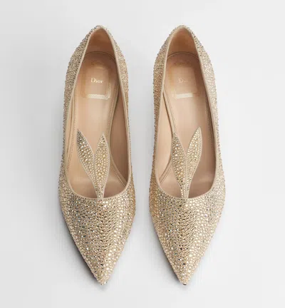Dior Pointed-toe High Heels In Multi