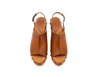 Dingo Clover In Multi