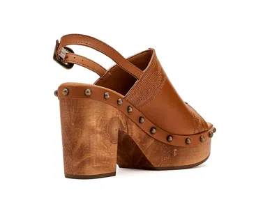 Dingo Clover In Multi