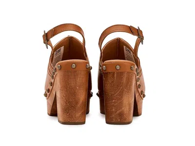 Dingo Clover In Multi