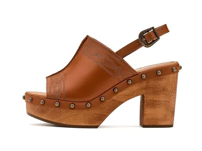 Dingo Clover In Multi