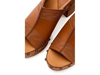 Dingo Clover In Multi