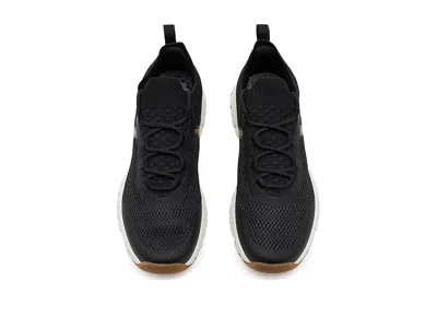Deer Stags Beachside In Black