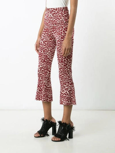 Shop Piamita Printed Cropped Trousers In Red