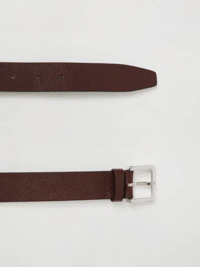 Orciani Saffiano Basic Belt In Brown