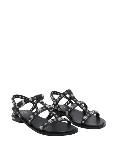 Ash Parka Stud-embellished Sandals In Black