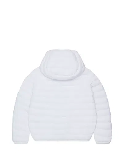 Dsquared2 Logo-print Padded Jacket In White