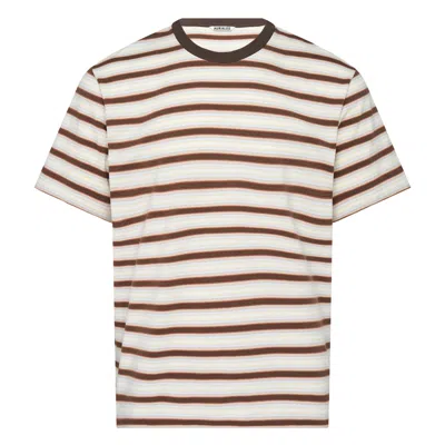 Auralee Cotton Gradient Stripe T-shirt In Brown