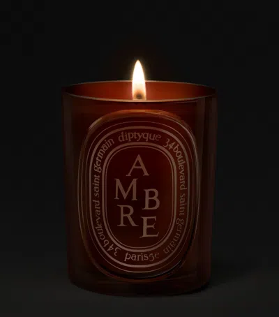 Diptyque Ambre Candle 300 G In Brown
