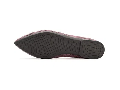Allbirds Breezer Point In Multi