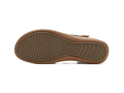 L'artiste By Spring Step Script In Brown