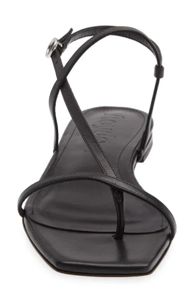 Aeyde Ella Flat Sandals In Black